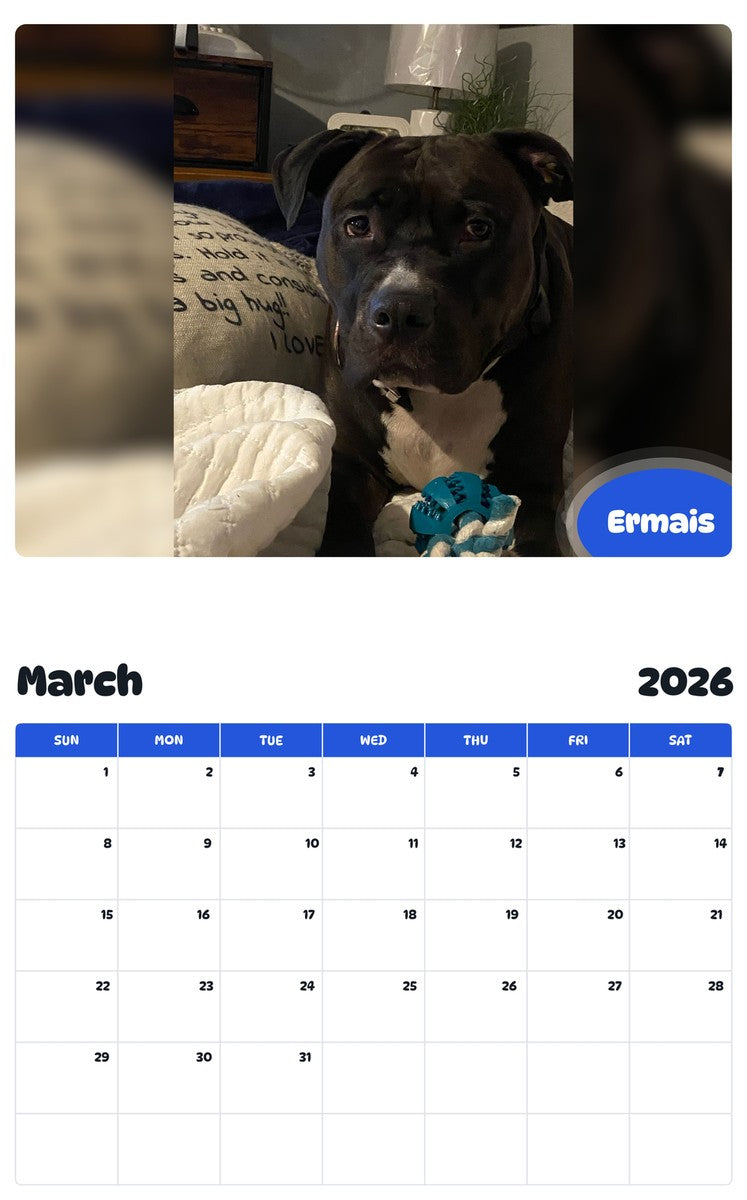November 2025 - October 2026 Ermais - Pawidols Pet Calendar