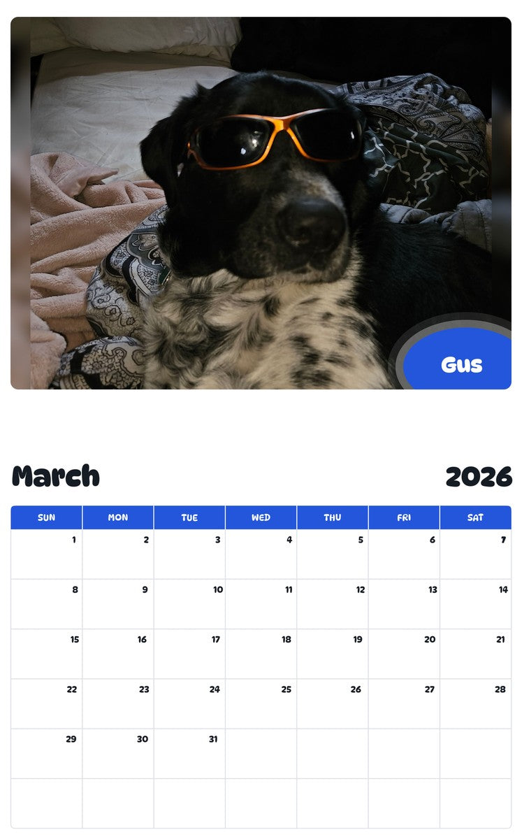November 2025 - October 2026 Gus - Pawidols Pet Calendar