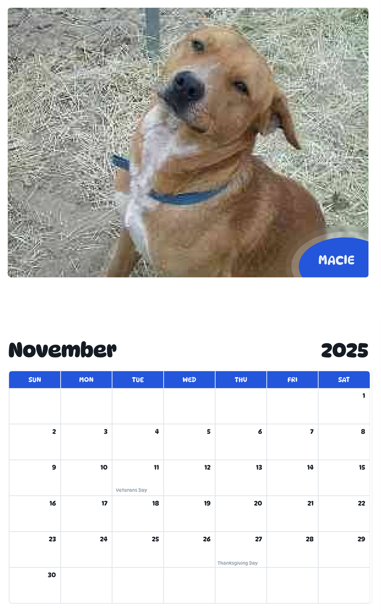 July 2025 - June 2026 Macie - Pawidols Pet Calendar