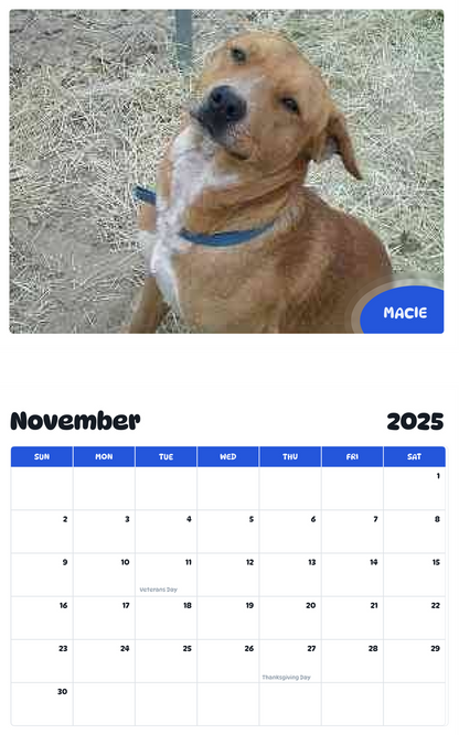 July 2025 - June 2026 Macie - Pawidols Pet Calendar