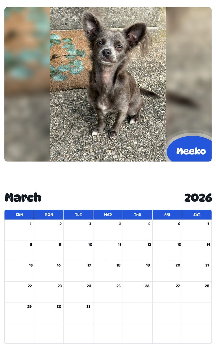 November 2025 - October 2026 Meeko - Pawidols Pet Calendar