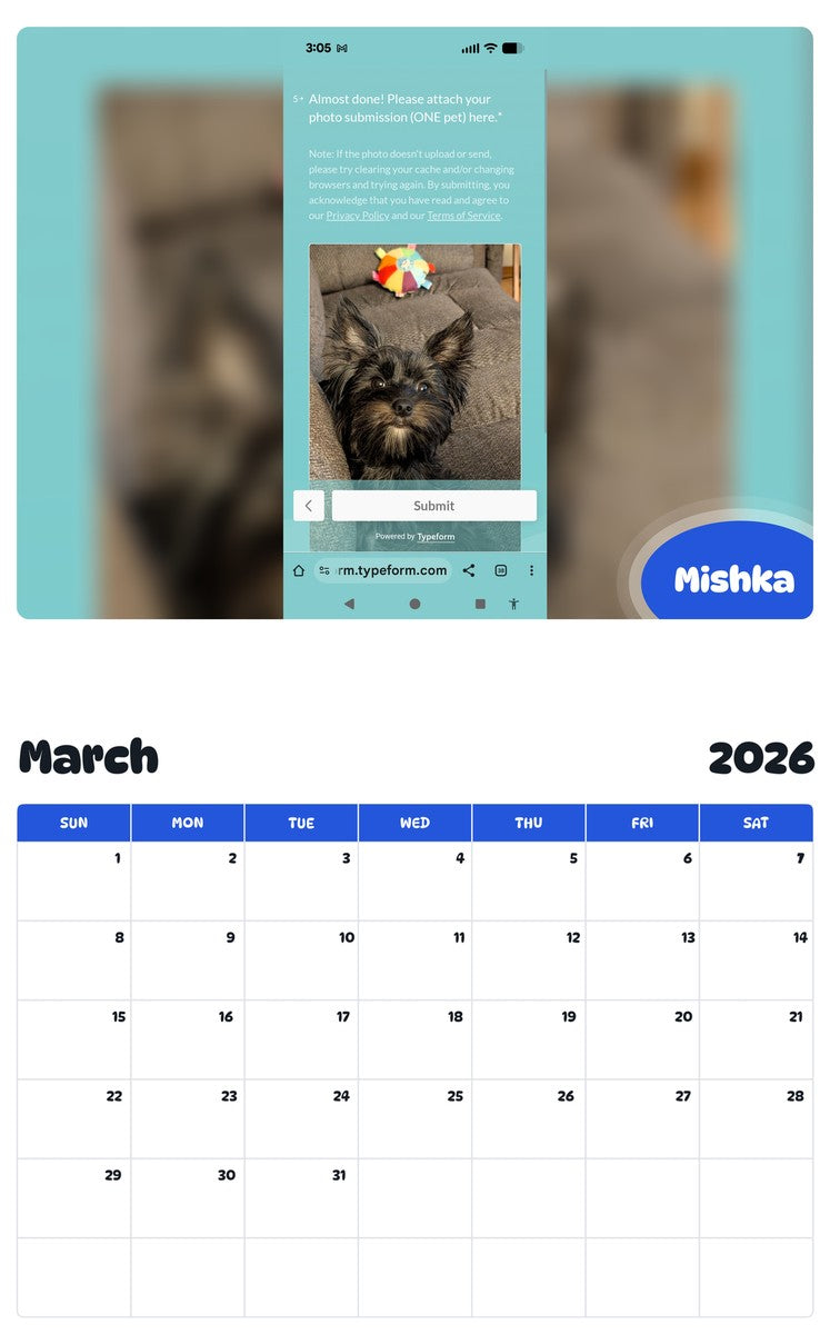 November 2025 - October 2026 Mishka - Pawidols Pet Calendar