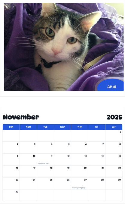 July 2025 - June 2026 Amir - Pawidols Pet Calendar