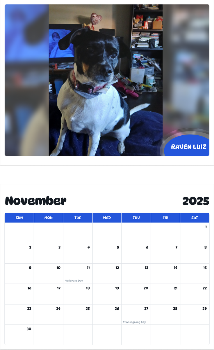 July 2025 - June 2026 Raven Luiz - Pawidols Pet Calendar