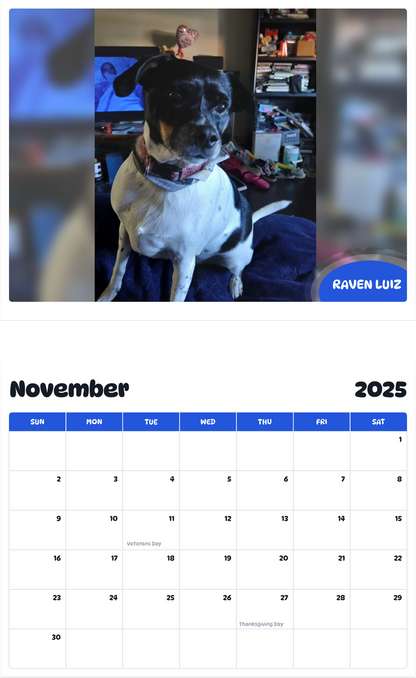 July 2025 - June 2026 Raven Luiz - Pawidols Pet Calendar