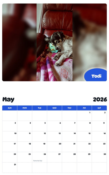 2026 - 2027 Yodi - Pawidols Pet Calendar