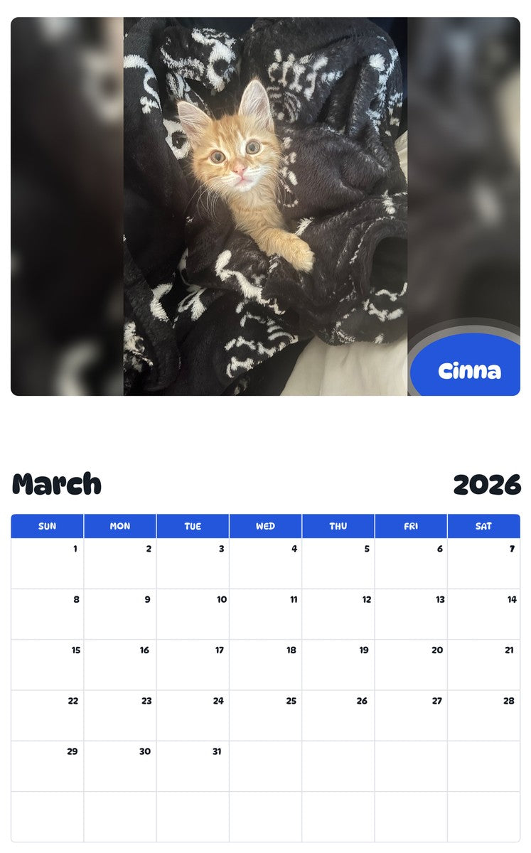 November 2025 - October 2026 Cinna - Pawidols Pet Calendar