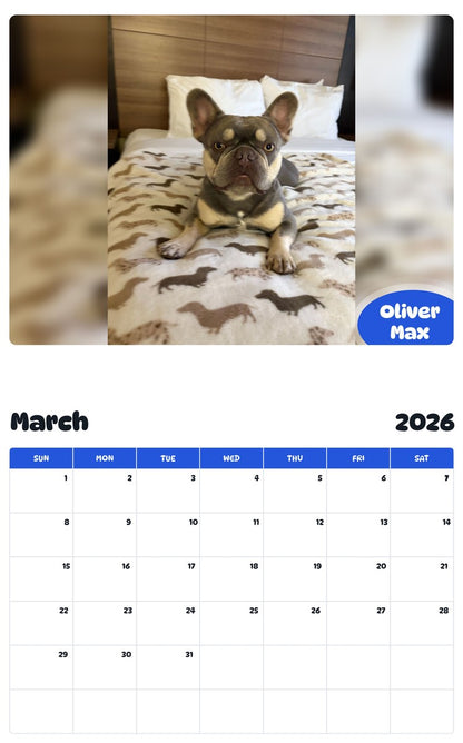 November 2025 - October 2026 Oliver Max - Pawidols Pet Calendar