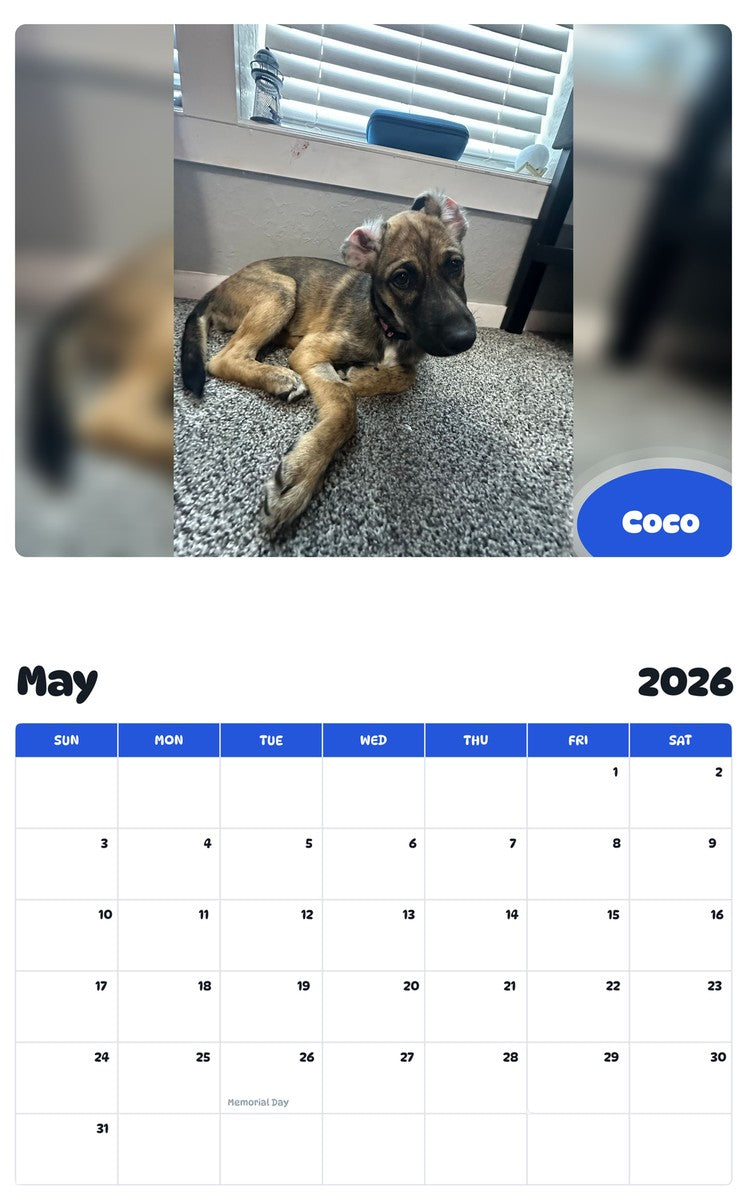 2026 - 2027 Coco - Pawidols Pet Calendar