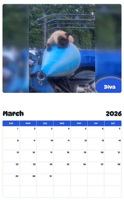 November 2025 - October 2026 Diva - Pawidols Pet Calendar