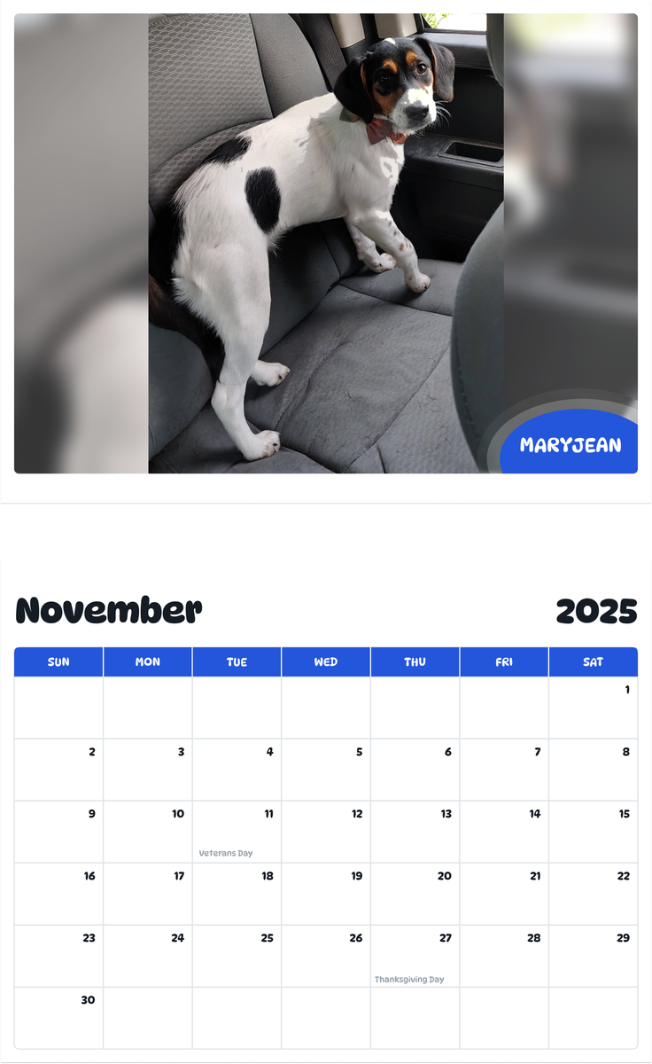 July 2025 - June 2026 MaryJean - Pawidols Pet Calendar