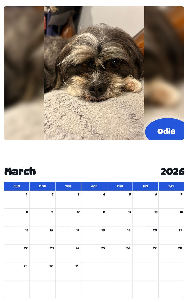 November 2025 - October 2026 Odie - Pawidols Pet Calendar
