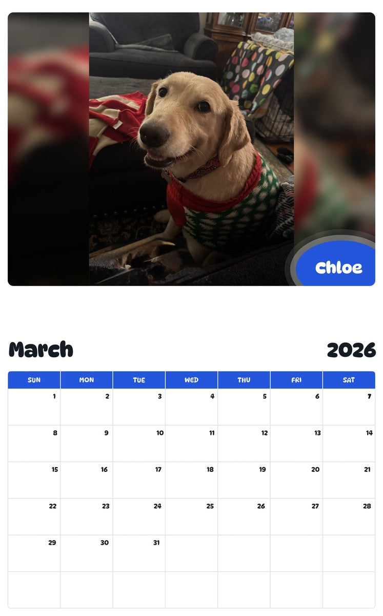 November 2025 - October 2026 Chloe - Pawidols Pet Calendar