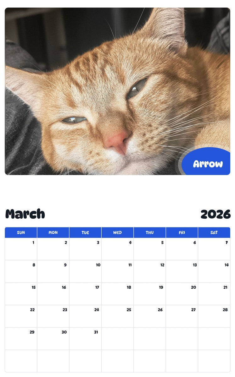 November 2025 - October 2026 Arrow - Pawidols Pet Calendar