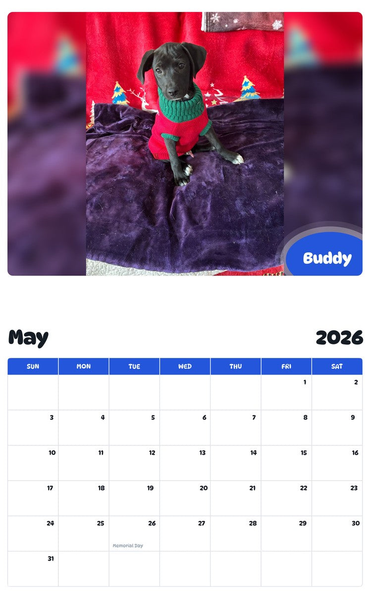 2026 - 2027 Buddy - Pawidols Pet Calendar