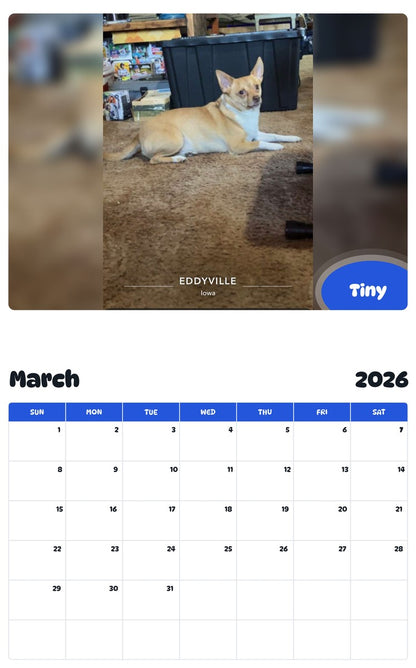 November 2025 - October 2026 Tiny - Pawidols Pet Calendar