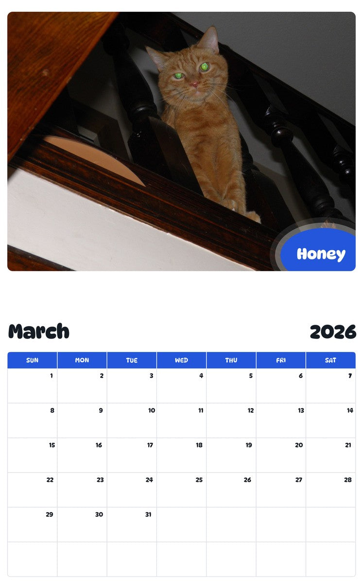 November 2025 - October 2026 Honey - Pawidols Pet Calendar