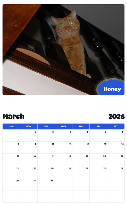 November 2025 - October 2026 Honey - Pawidols Pet Calendar