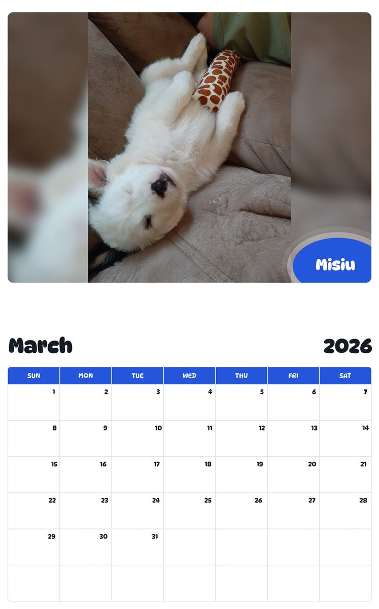 November 2025 - October 2026 Misiu - Pawidols Pet Calendar