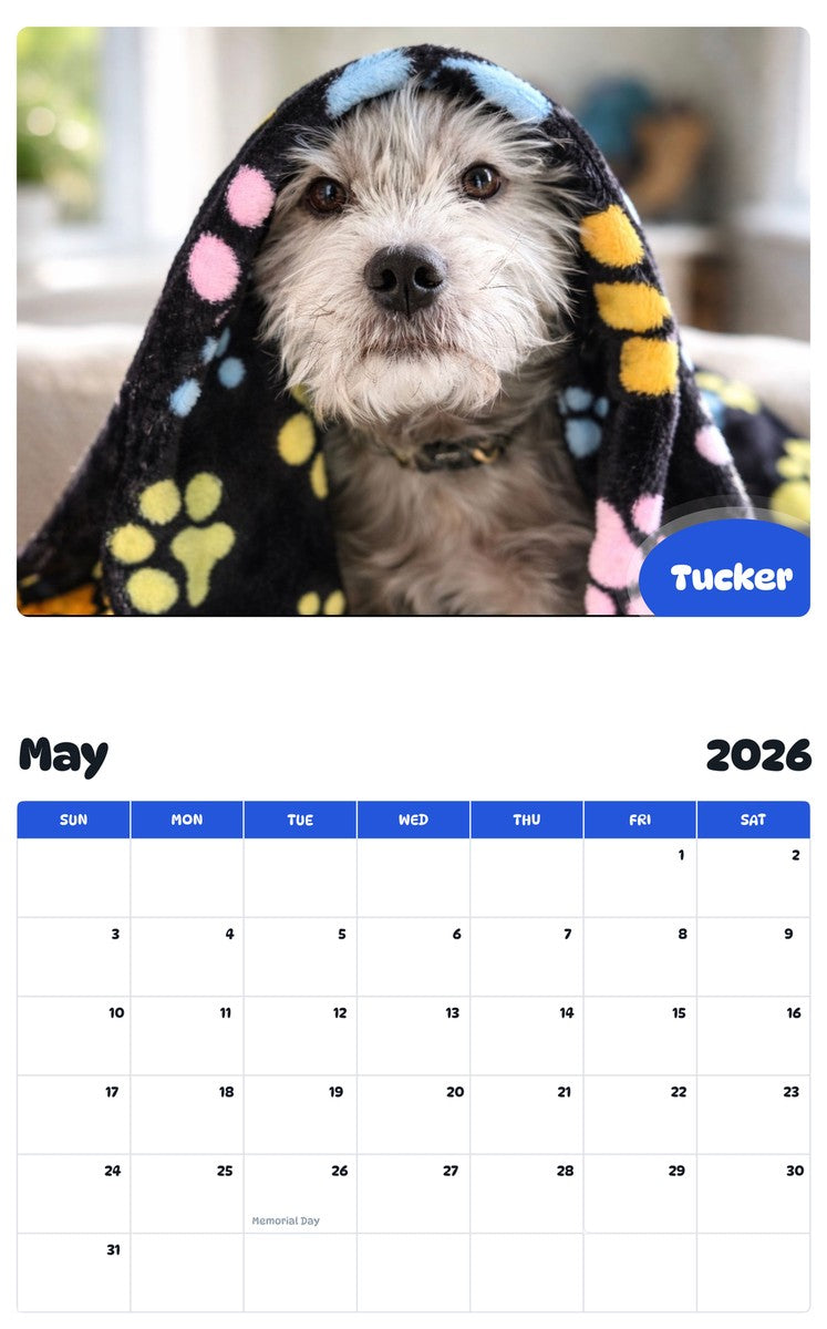 2026 - 2027 Tucker - Pawidols Pet Calendar