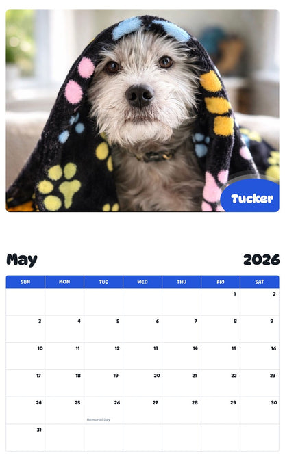 2026 - 2027 Tucker - Pawidols Pet Calendar