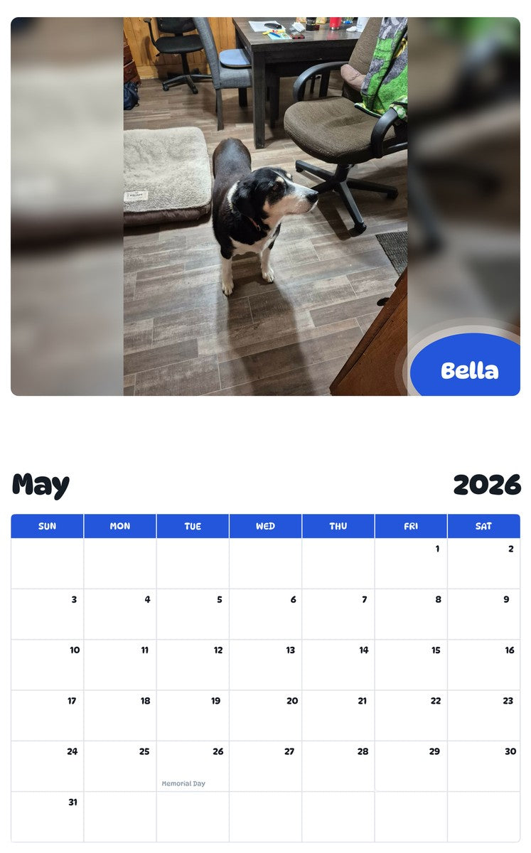 2026 - 2027 Bella - Pawidols Pet Calendar