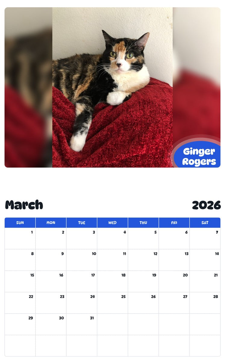 November 2025 - October 2026 Ginger Rogers - Pawidols Pet Calendar