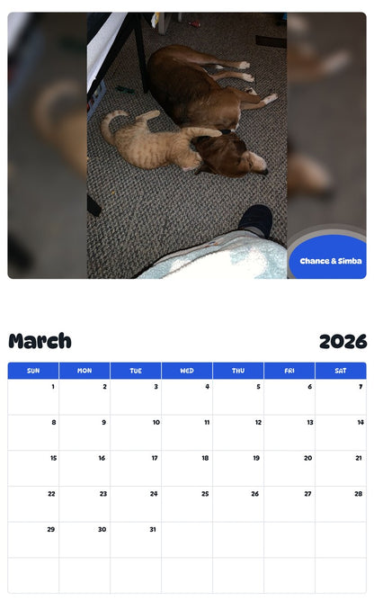 November 2025 - October 2026 Chance & Simba - Pawidols Pet Calendar