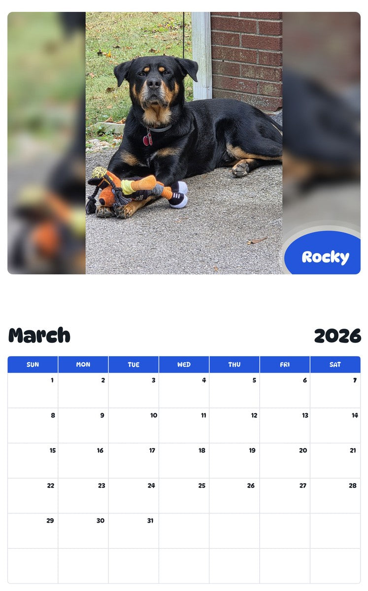 November 2025 - October 2026 Rocky - Pawidols Pet Calendar