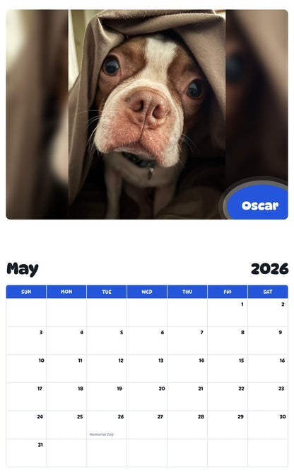 2026 - 2027 Oscar - Pawidols Pet Calendar