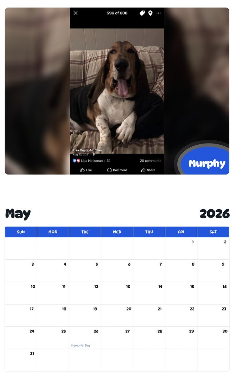 2026 - 2027 Murphy - Pawidols Pet Calendar