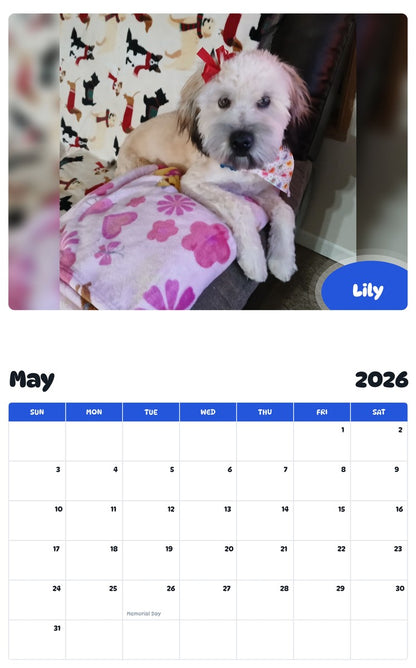 2026 - 2027 Lily - Pawidols Pet Calendar