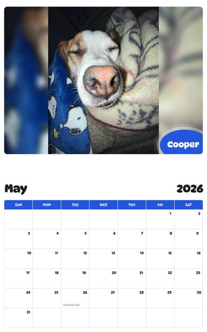 2026 - 2027 Cooper - Pawidols Pet Calendar