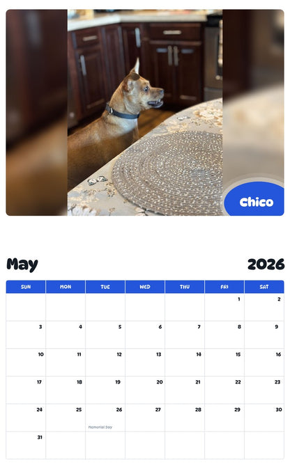2026 - 2027 Chico - Pawidols Pet Calendar