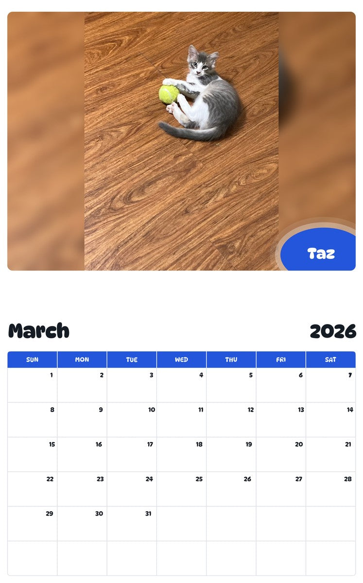 November 2025 - October 2026 Taz - Pawidols Pet Calendar
