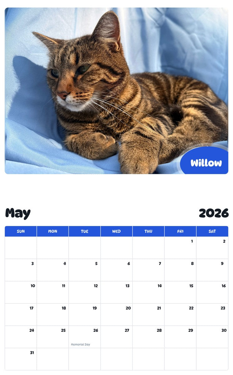 2026 - 2027 Willow - Pawidols Pet Calendar