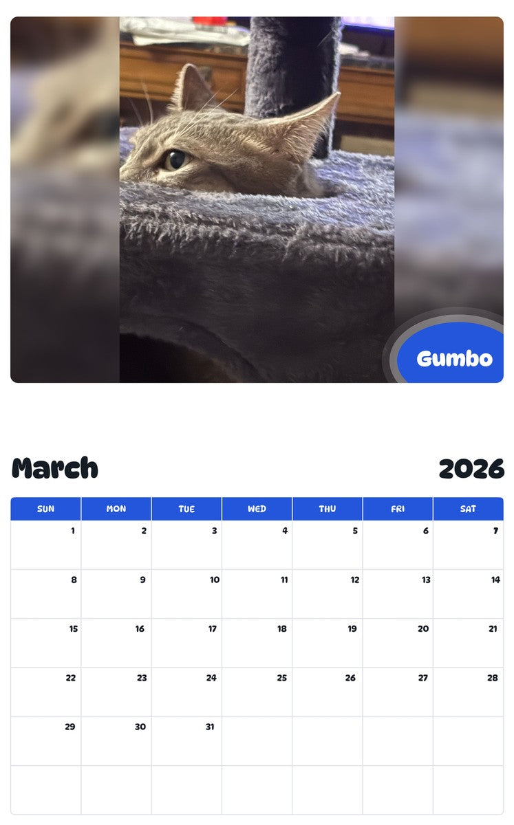 November 2025 - October 2026 Gumbo - Pawidols Pet Calendar