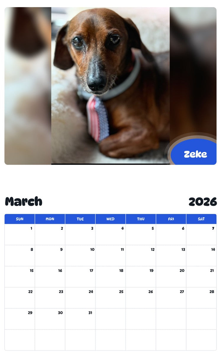 November 2025 - October 2026 Zeke - Pawidols Pet Calendar