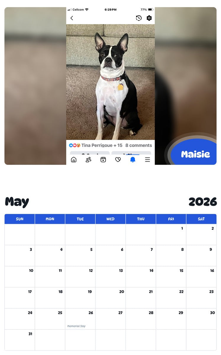 2026 - 2027 Maisie - Pawidols Pet Calendar