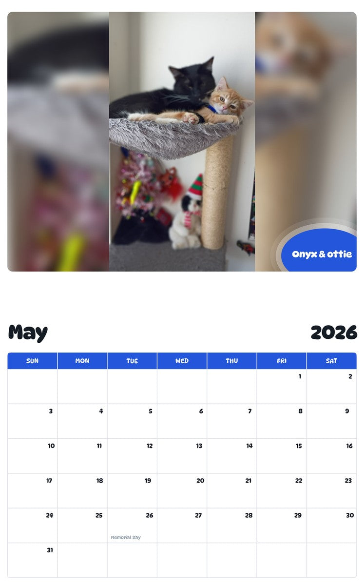 2026 - 2027 Onyx & ottie - Pawidols Pet Calendar