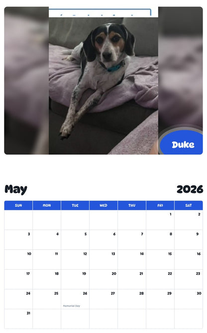 2026 - 2027 Duke - Pawidols Pet Calendar