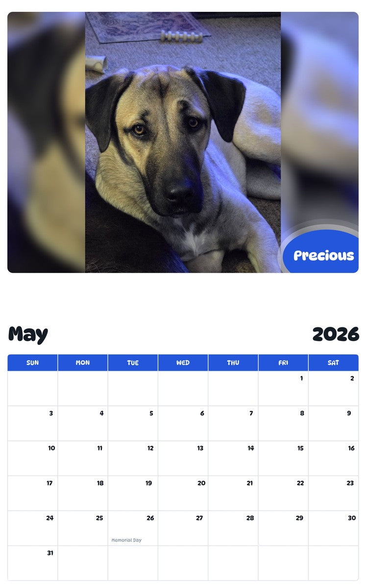 2026 - 2027 Precious - Pawidols Pet Calendar