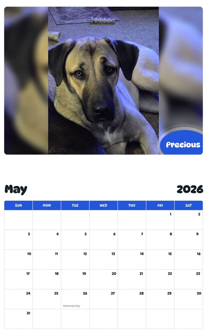 2026 - 2027 Precious - Pawidols Pet Calendar