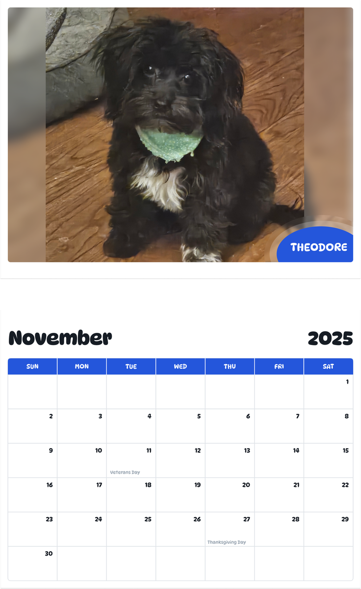 July 2025 - June 2026 Theodore - Pawidols Pet Calendar