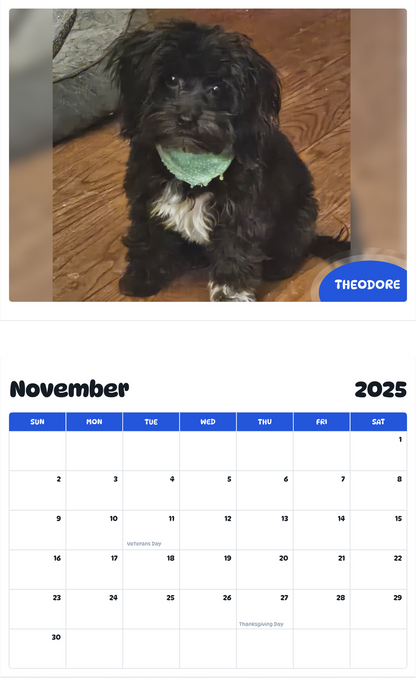 July 2025 - June 2026 Theodore - Pawidols Pet Calendar