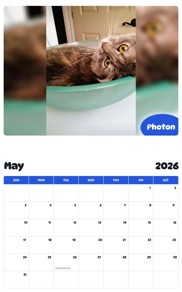 2026 - 2027 Photon - Pawidols Pet Calendar
