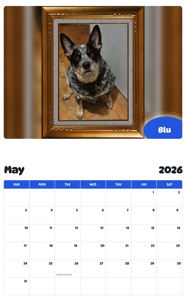 2026 - 2027 Blu - Pawidols Pet Calendar