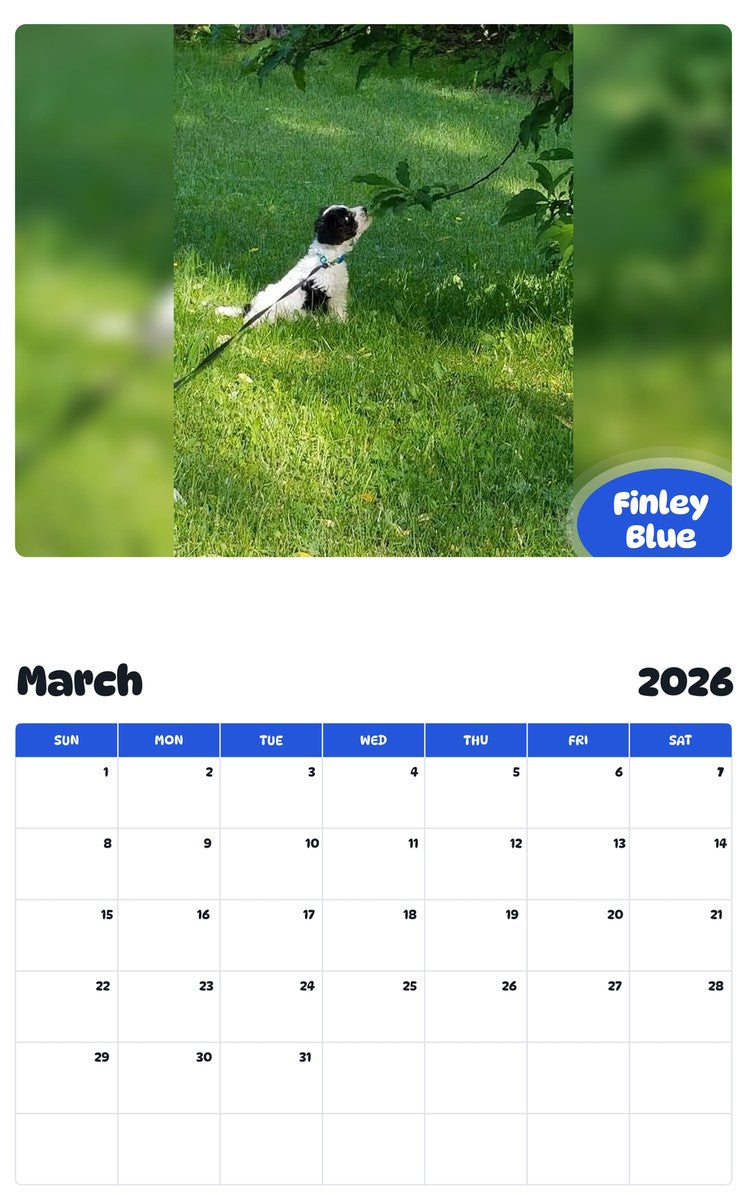 November 2025 - October 2026 Finley Blue - Pawidols Pet Calendar