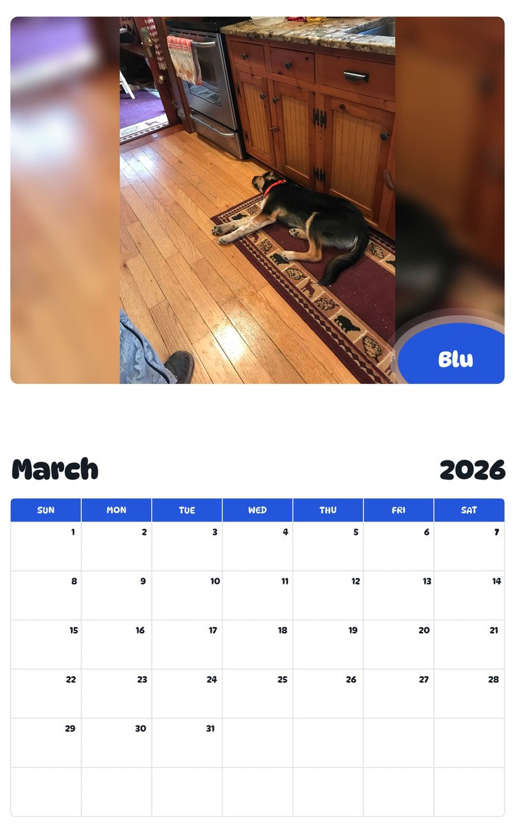 November 2025 - October 2026 Blu - Pawidols Pet Calendar