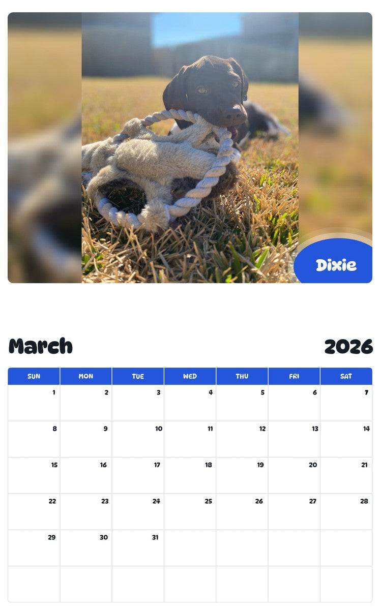 November 2025 - October 2026 Dixie - Pawidols Pet Calendar